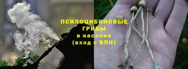 МДПВ Михайлов