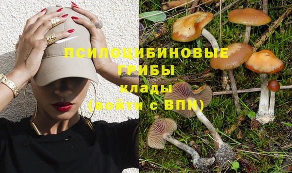 амф Алексин