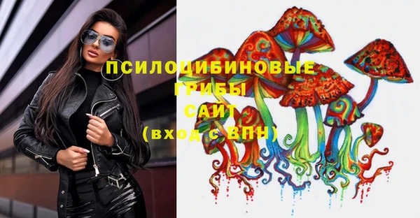 амф Алексин