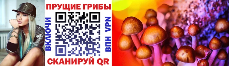 сайты даркнета наркотические препараты Пикалёво Галлюциногенные грибы Psilocybe